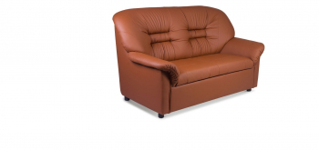 Диван двухместный Д2