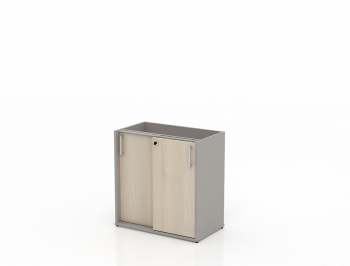 Шкаф с раздвижными дверями ТН421Т