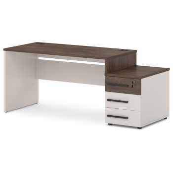 Стол с опорной тумбой T-25л/пр