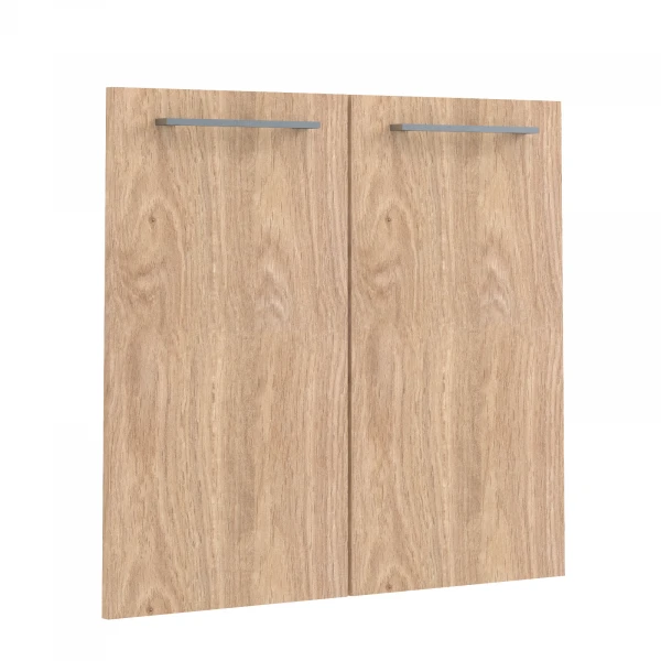 Дверь ALD 42-2. Фото 1