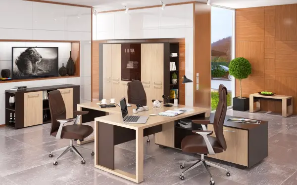 Кабинет руководителя ALTO. Фото 1