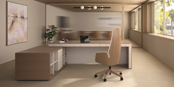 Кабинет руководителя Belesa. Фото 5