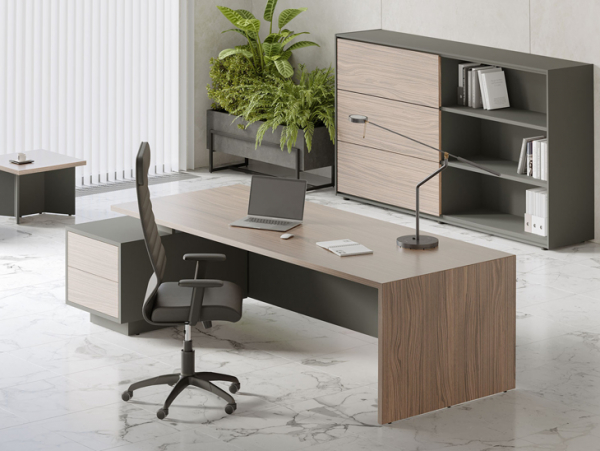 Кабинет руководителя Dali. Фото 2