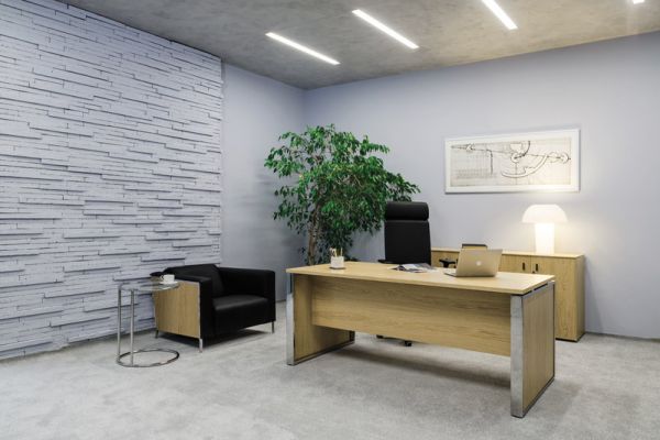 Кабинет руководителя Ekis. Фото 7