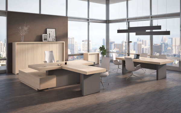 Кабинет руководителя ERA. Фото 2