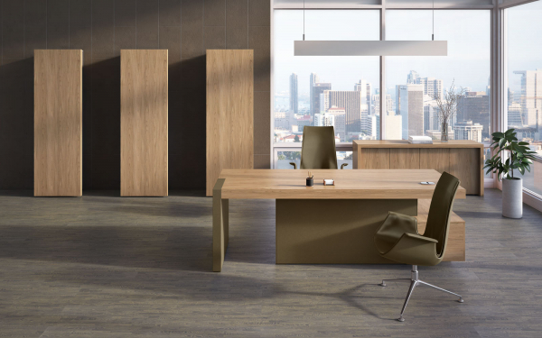 Кабинет руководителя ERA. Фото 4