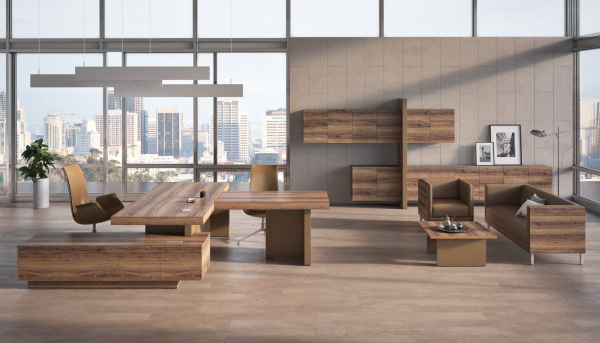 Кабинет руководителя ERA. Фото 6