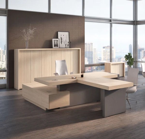 Кабинет руководителя ERA. Фото 1