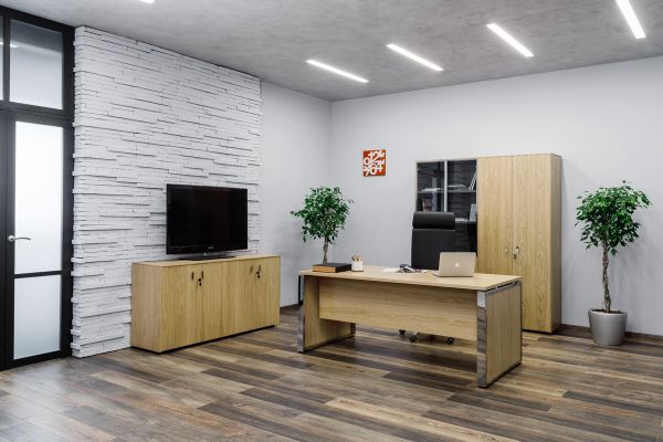 Кабинет руководителя Exe. Фото 4