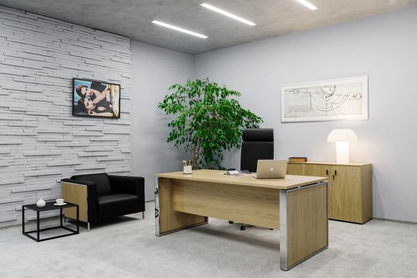 Кабинет руководителя Exe. Фото 5