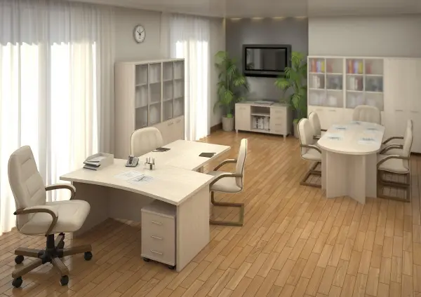 Кабинет руководителя First. Фото 1