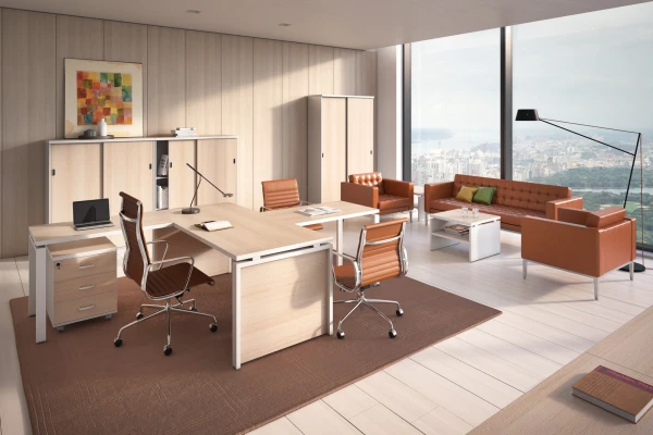 Кабинет руководителя FLASH WHITE. Фото 1