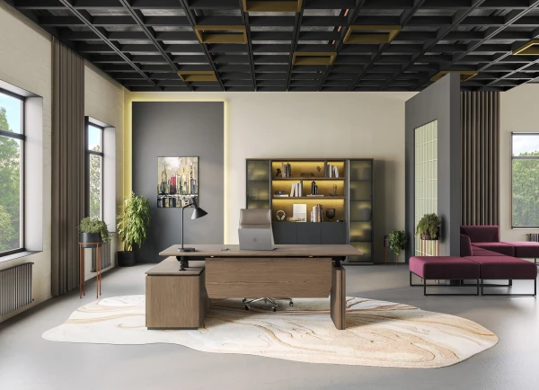 Кабинет руководителя ION. Фото 1