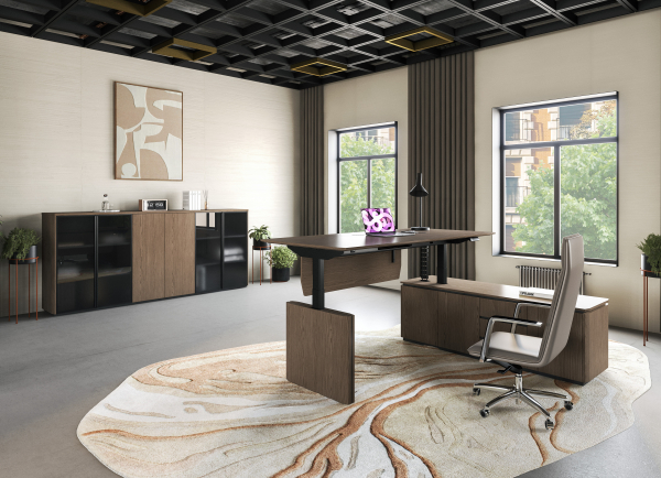 Кабинет руководителя ION. Фото 3