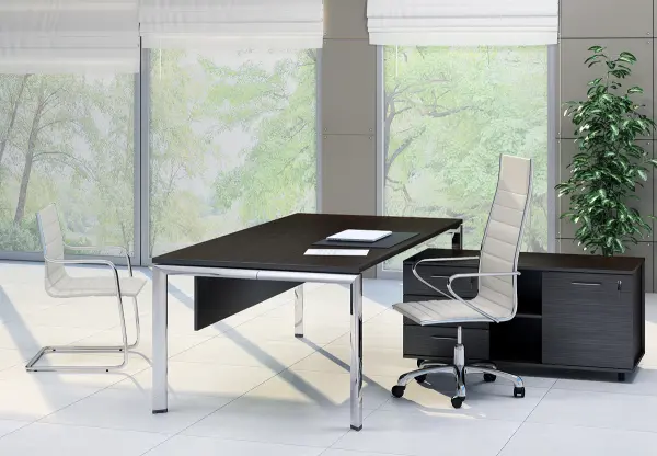 Кабинет руководителя ORBIS. Фото 1