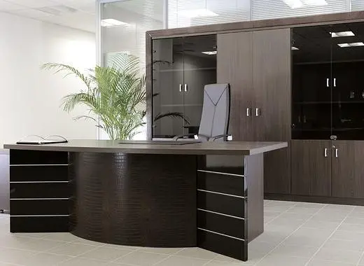 Кабинет руководителя Sirius. Фото 1