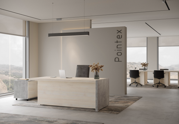 Кабинет руководителя Solid B. Фото 5