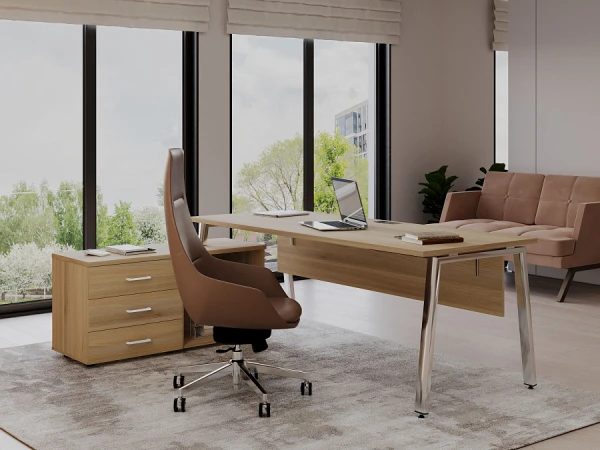 Кабинет руководителя Style Project Direct Lux. Фото 1