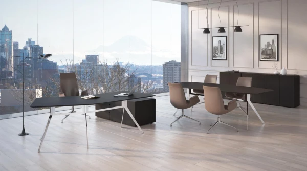 Кабинет руководителя SuperJet Black. Фото 1