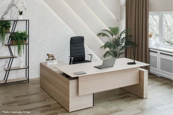 Кабинет руководителя Tesla. Фото 1