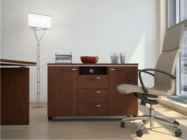 Кабинет руководителя Вельс. Фото 4