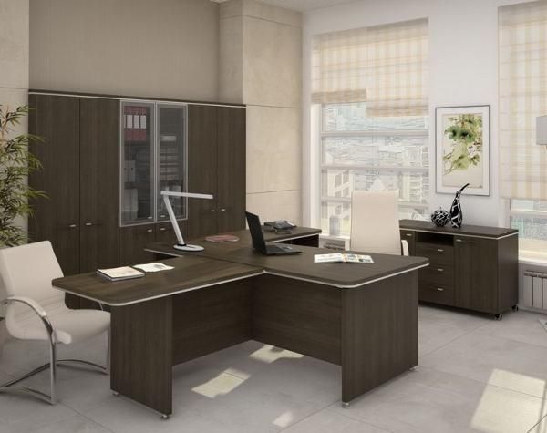 Кабинет руководителя Вельс. Фото 10