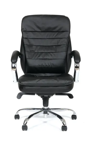 Кресло для руководителя CHAIRMAN 795. Фото 1