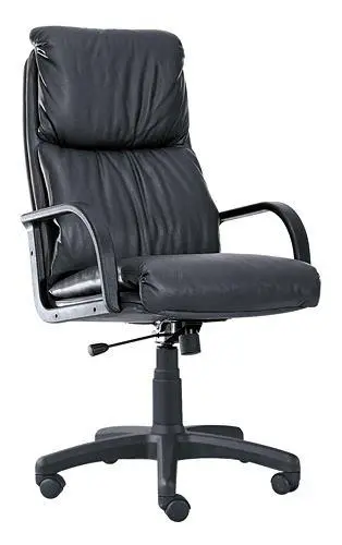 Кресло для руководителя Nadir PLN. Фото 1