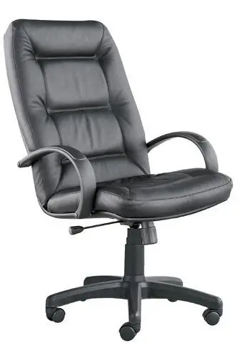 Кресло для руководителя Senator PSN. Фото 1