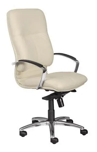 Кресло для руководителя Tigris Alu1. Фото 1