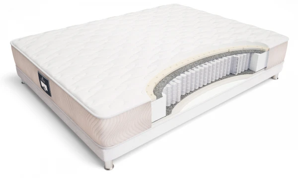 Матрас ECOLOGIC DREAM MAXI 160x200. Фото 1