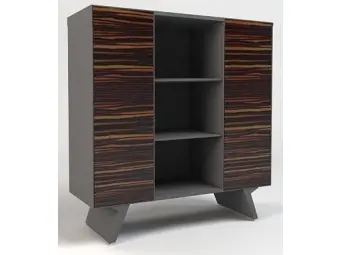 Шкаф 2 двери и ниша APGR.56.31. Фото 1