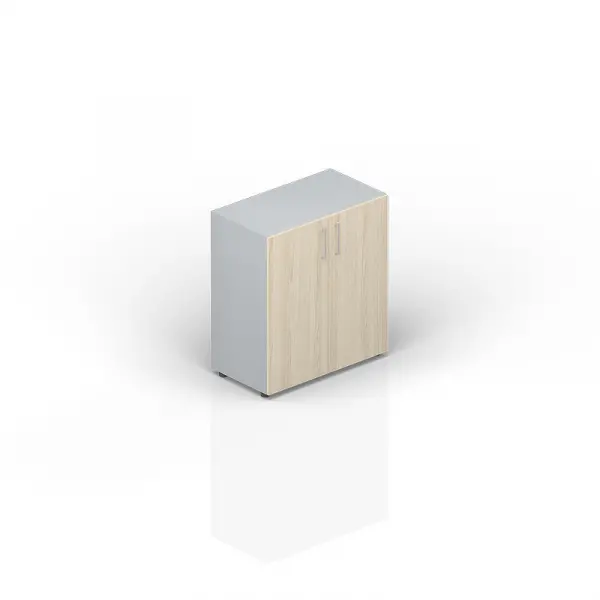 Шкаф для документов (2 двери, 1 полка, ручки - алюминий) OMLS762. Фото 1