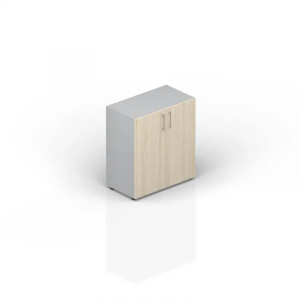 Шкаф для документов (2 двери, 1 полка) S19EMLS762. Фото 1