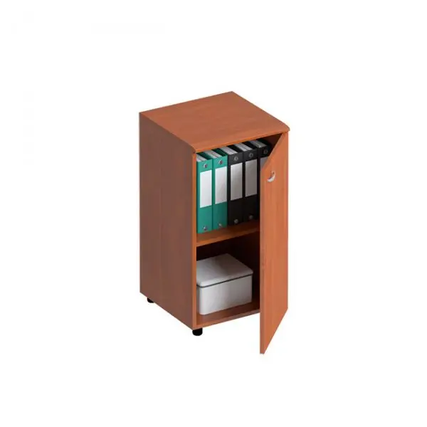 Шкаф для документов закрытый ФС 301. Фото 1