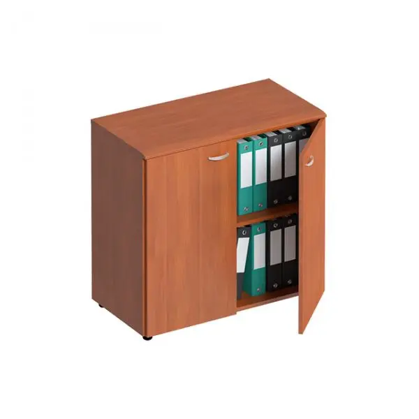 Шкаф для документов закрытый ФС 305. Фото 1