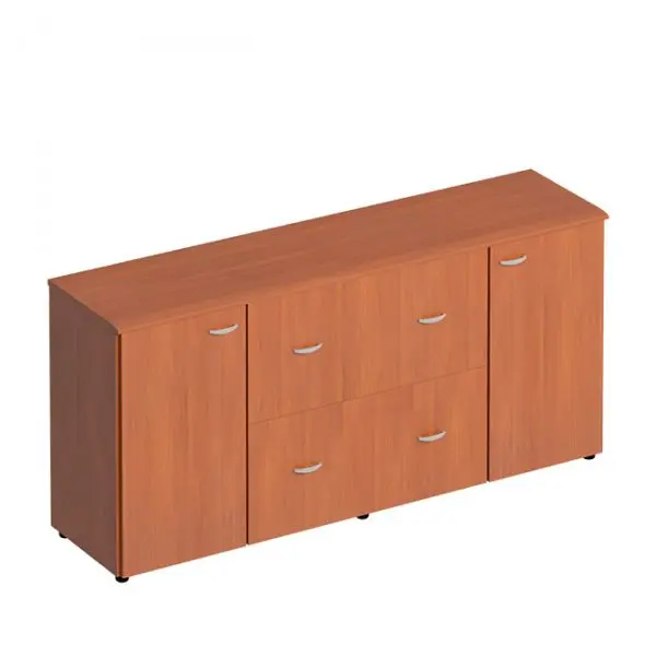 Шкаф комбинированный ФС 312. Фото 1