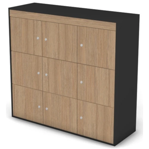 Шкаф-локер низкий широкий 122H0421.0422.0423. Фото 1