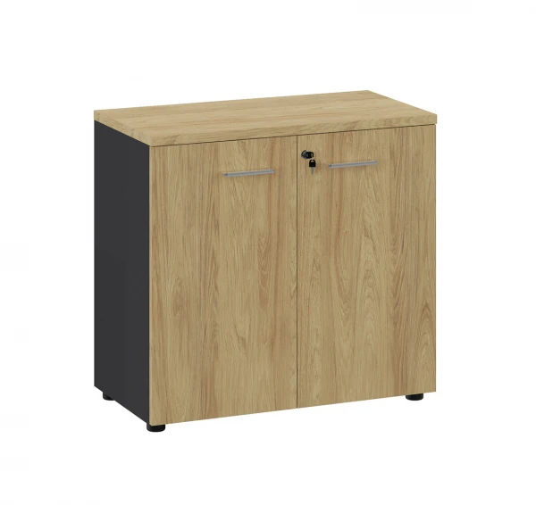 Шкаф низкий 135H001 15/6Z/6Z. Фото 1