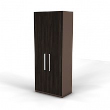 Шкаф высокий с 2 дверцами