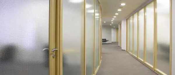 Стеклянные перегородки Regina. Фото 1