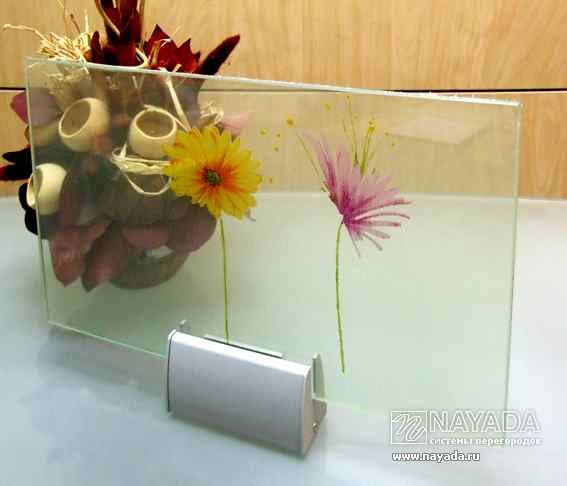 Стеклянные перегородки Regina. Фото 105